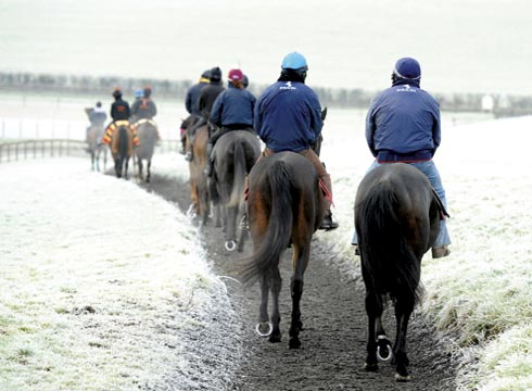 lambourn1.jpg