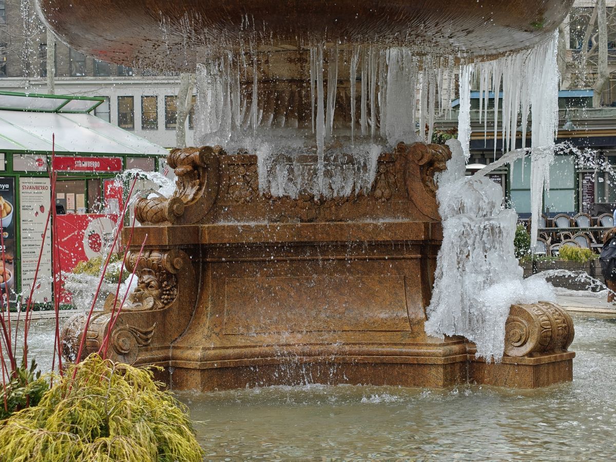 OnePlus 13 zoom sample.