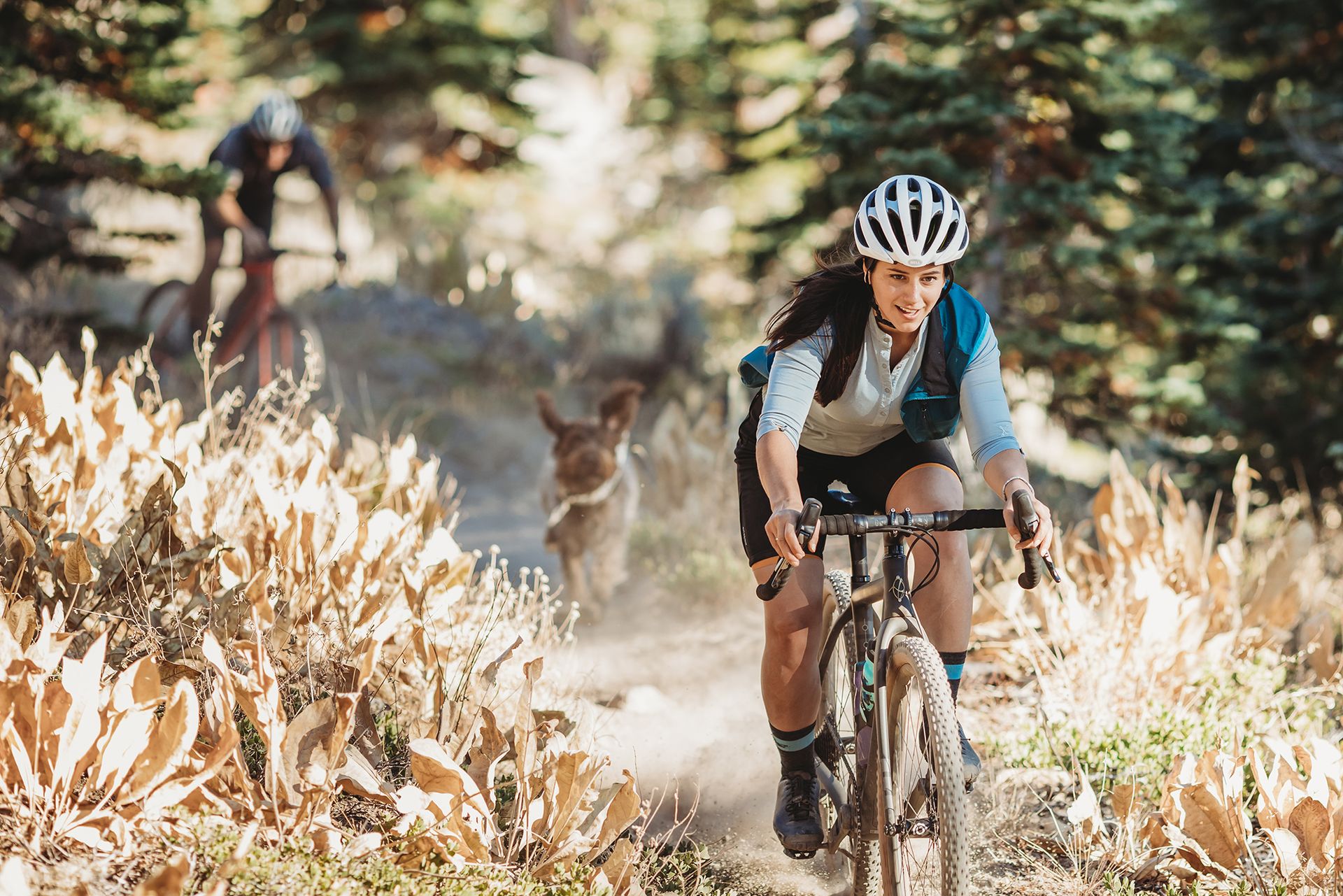 WTB Resolute gravel tires on a gravel bike being chased by a dog
