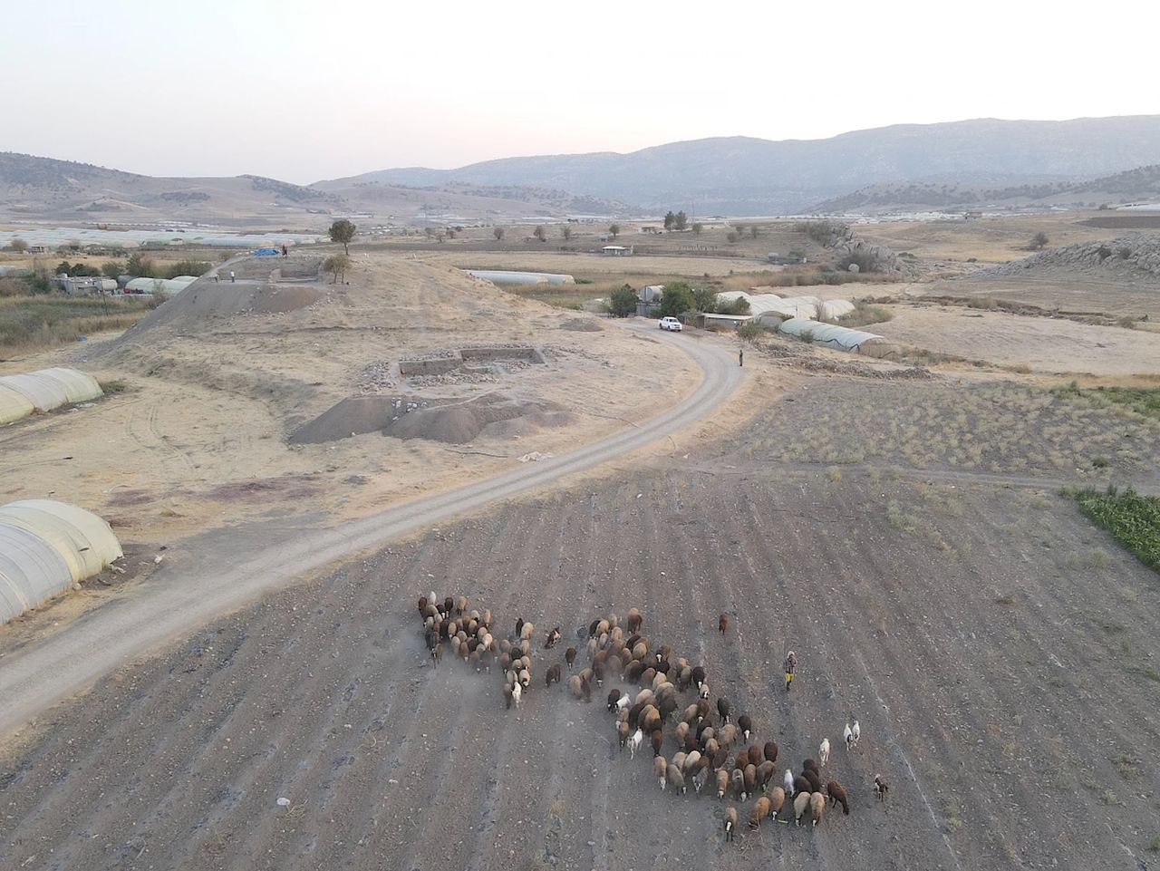 a group of sheep roam through hills and plains