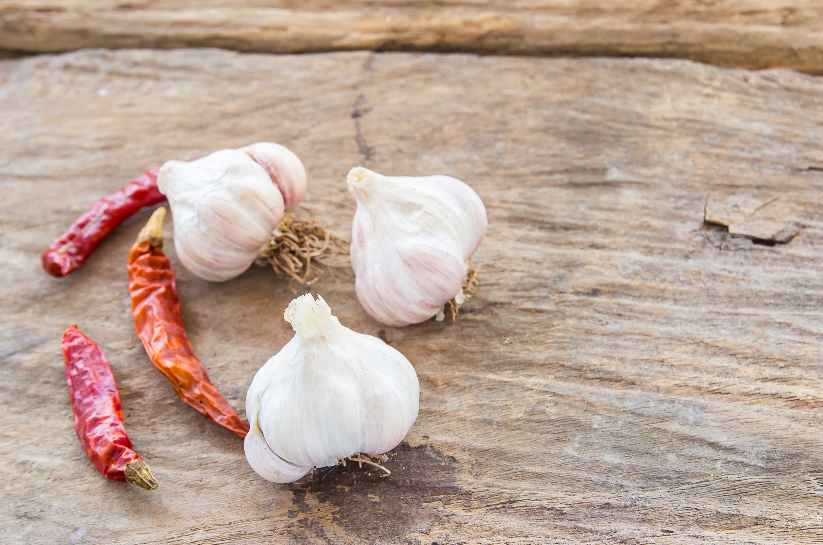 chilli and garlic for how to keep rabbits out of your garden or yard