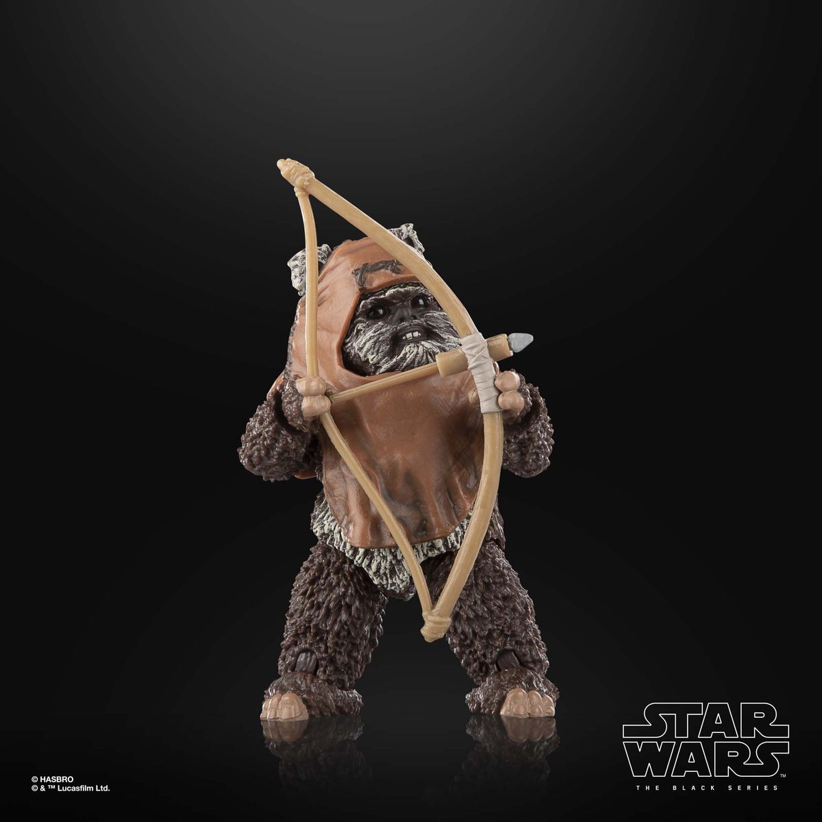 Star Wars The Black Series Wicket action figure posed against a black background