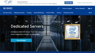 Website screenshot for Ionos dedicated server