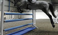 Jumping schooling over water tray