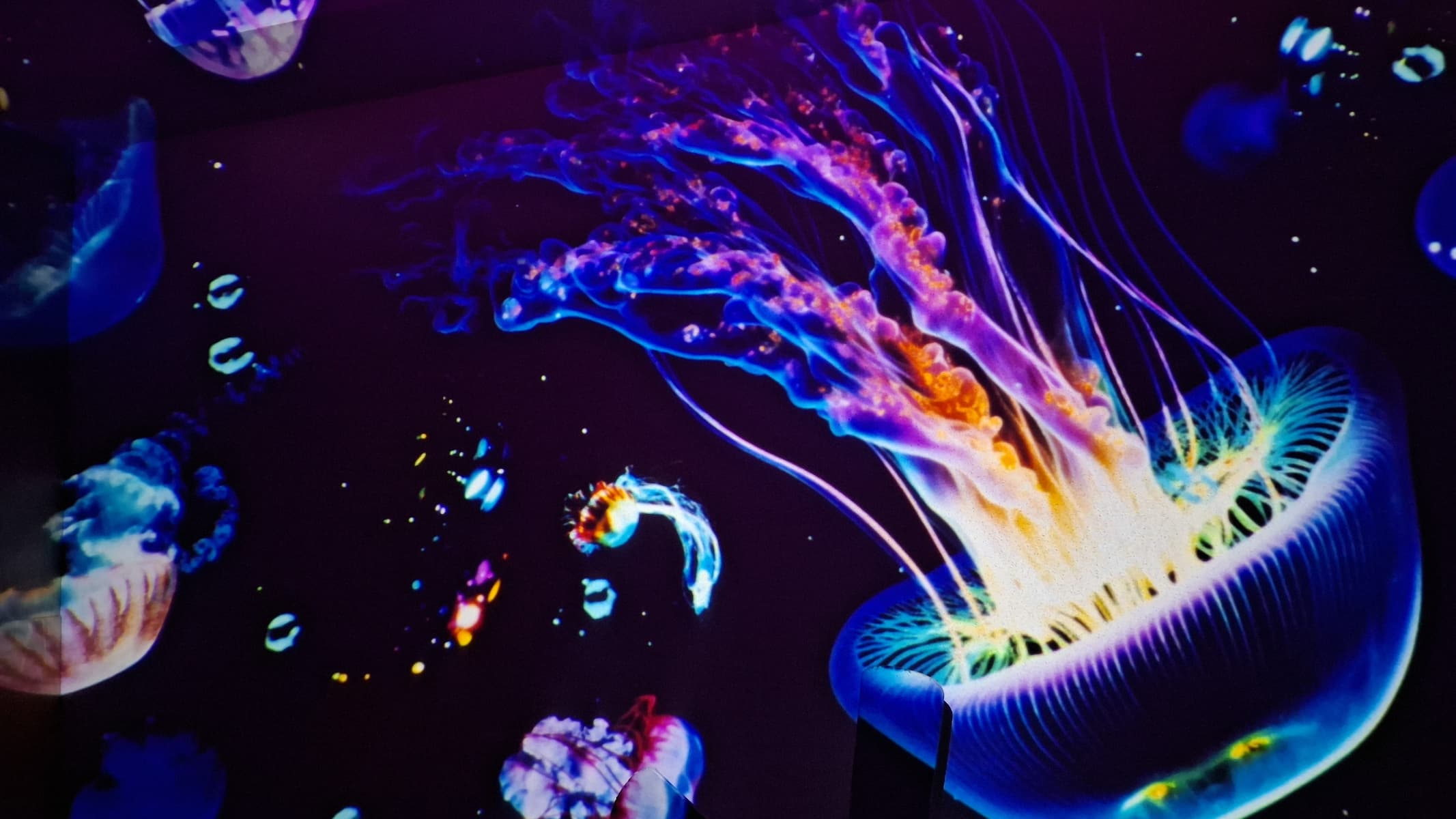 Hommkiety Galaxy Projector