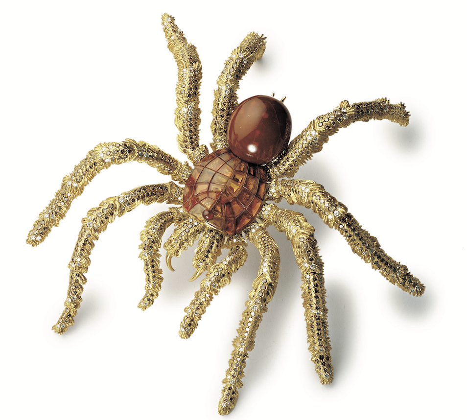 A tarantula brooch
