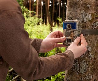 Trail Cameras For Security & Outdoor Surveillance