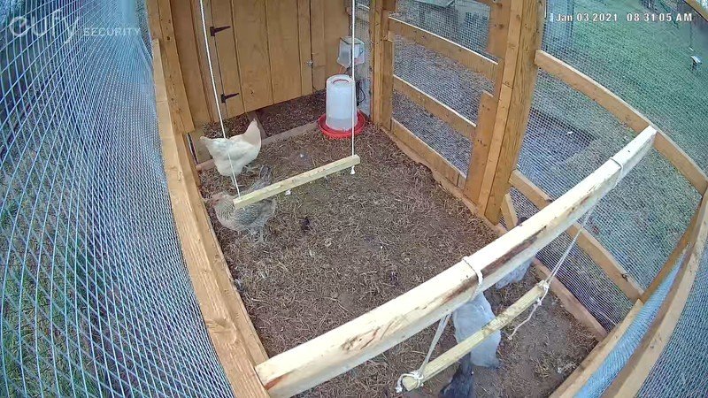 Eufycam 2 Pro Chicken Coop View