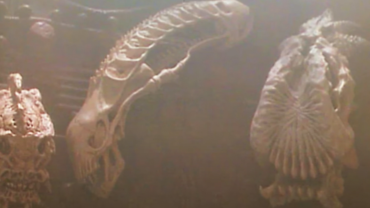 A Xenomorph Skull In Predator 2