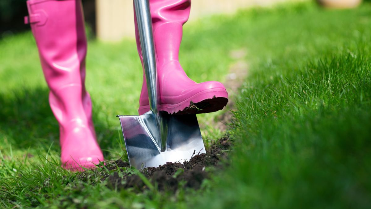 The Quick September Check Your Lawn Needs if it has Brown or Bare Patches – Or Risk Reseeding in Spring