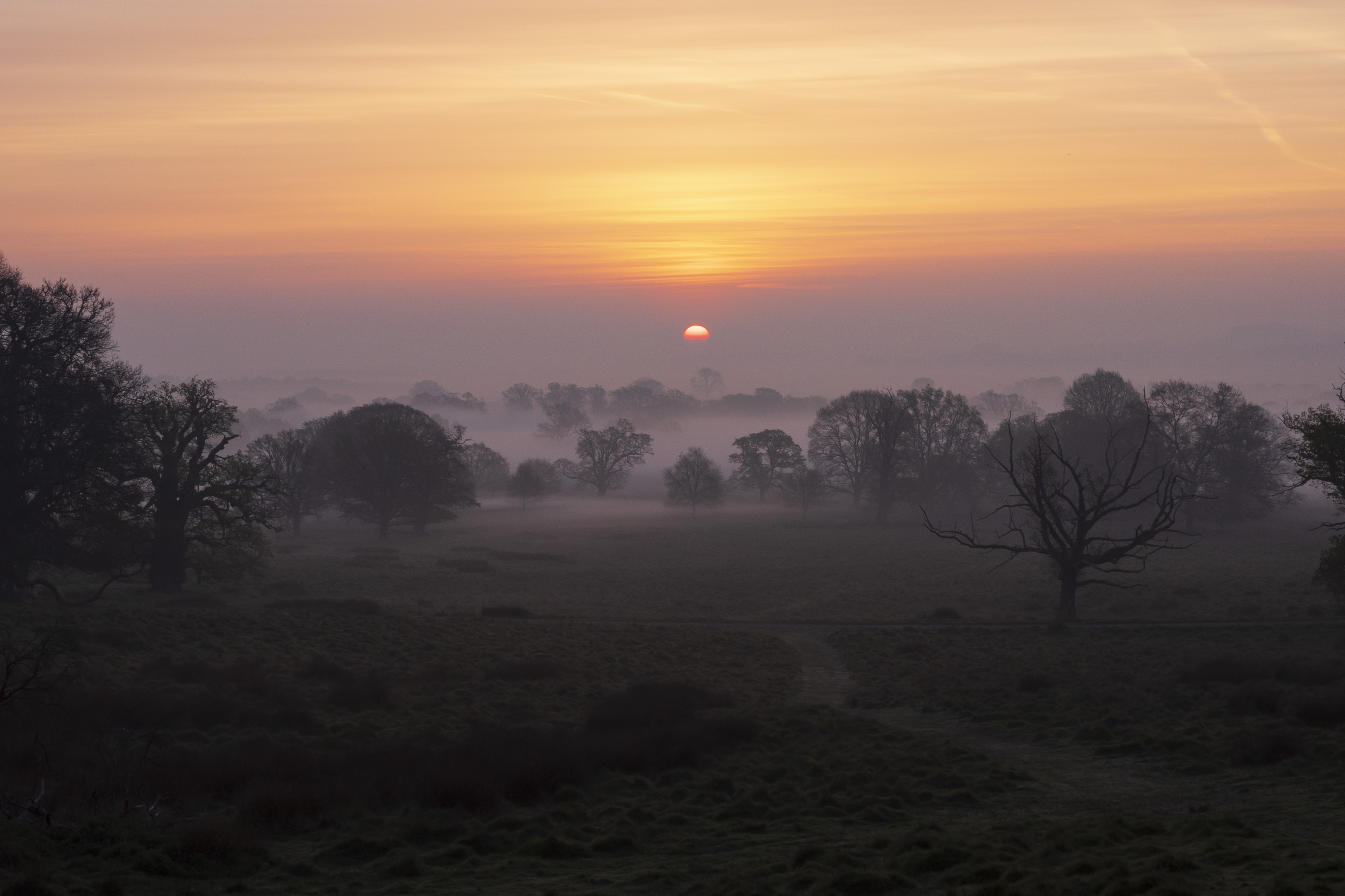 A sunrise over a misty landscape