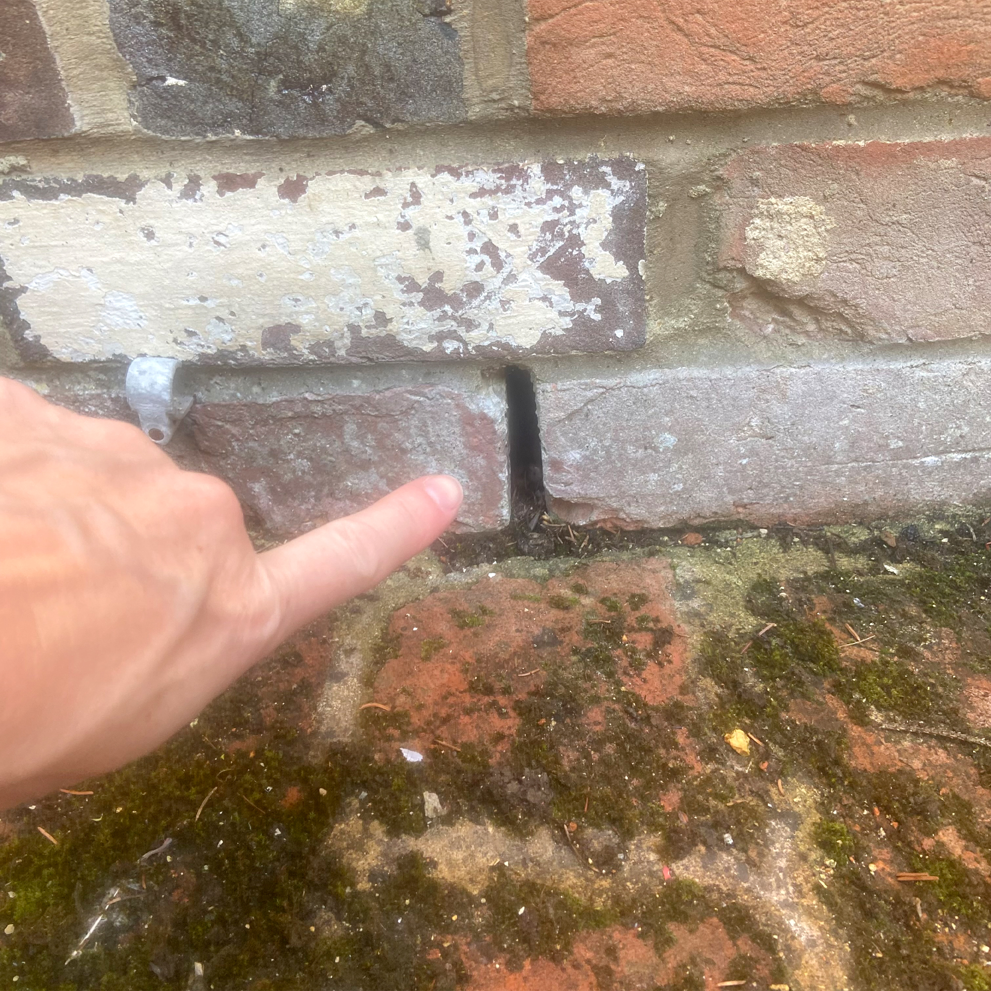 A hand pointing at a weep hole in the lower brickwork of a house