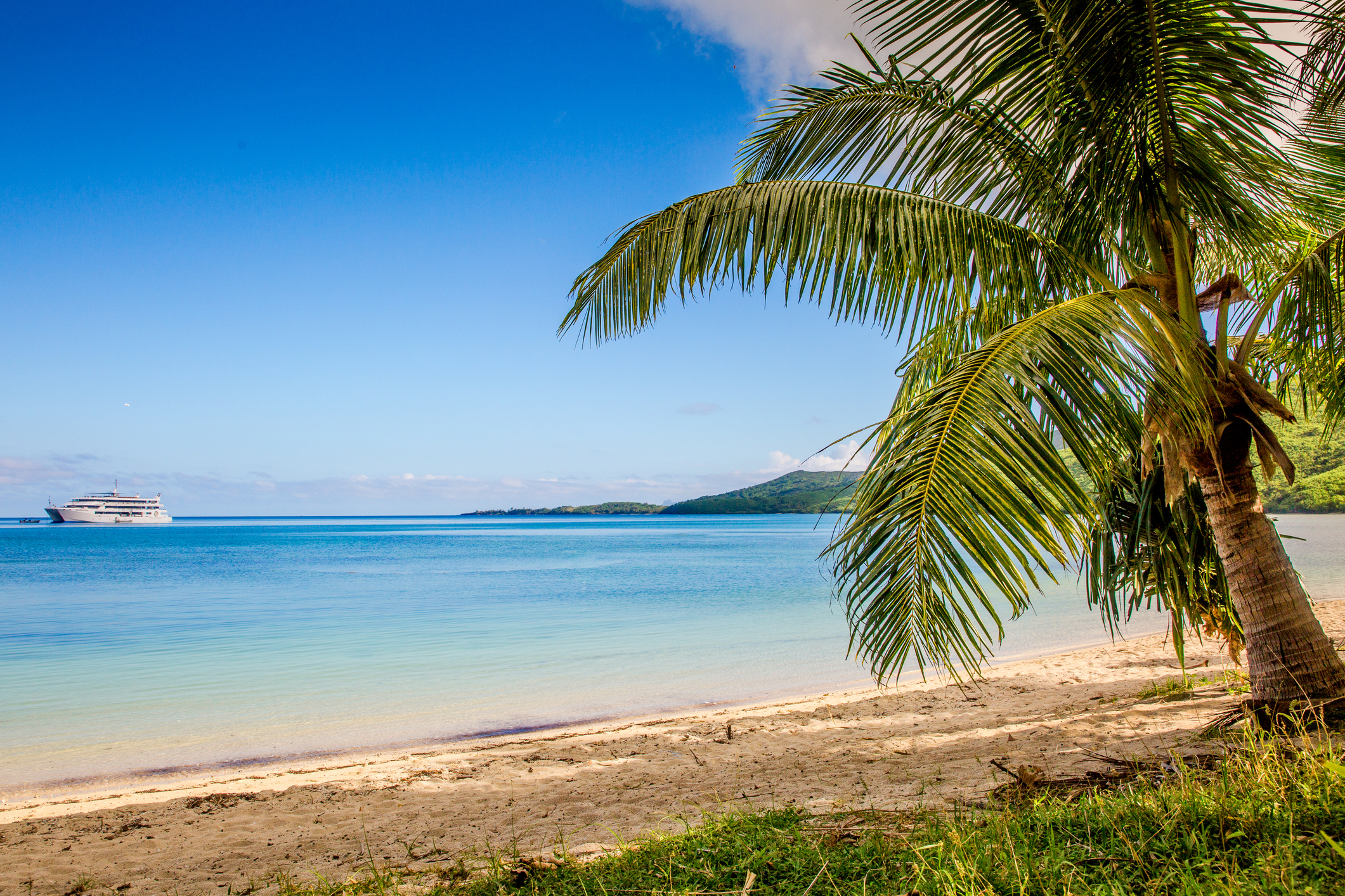 Photo of a beach on Fiji with a palm tree on the right hand side and a cruise ship in the background.