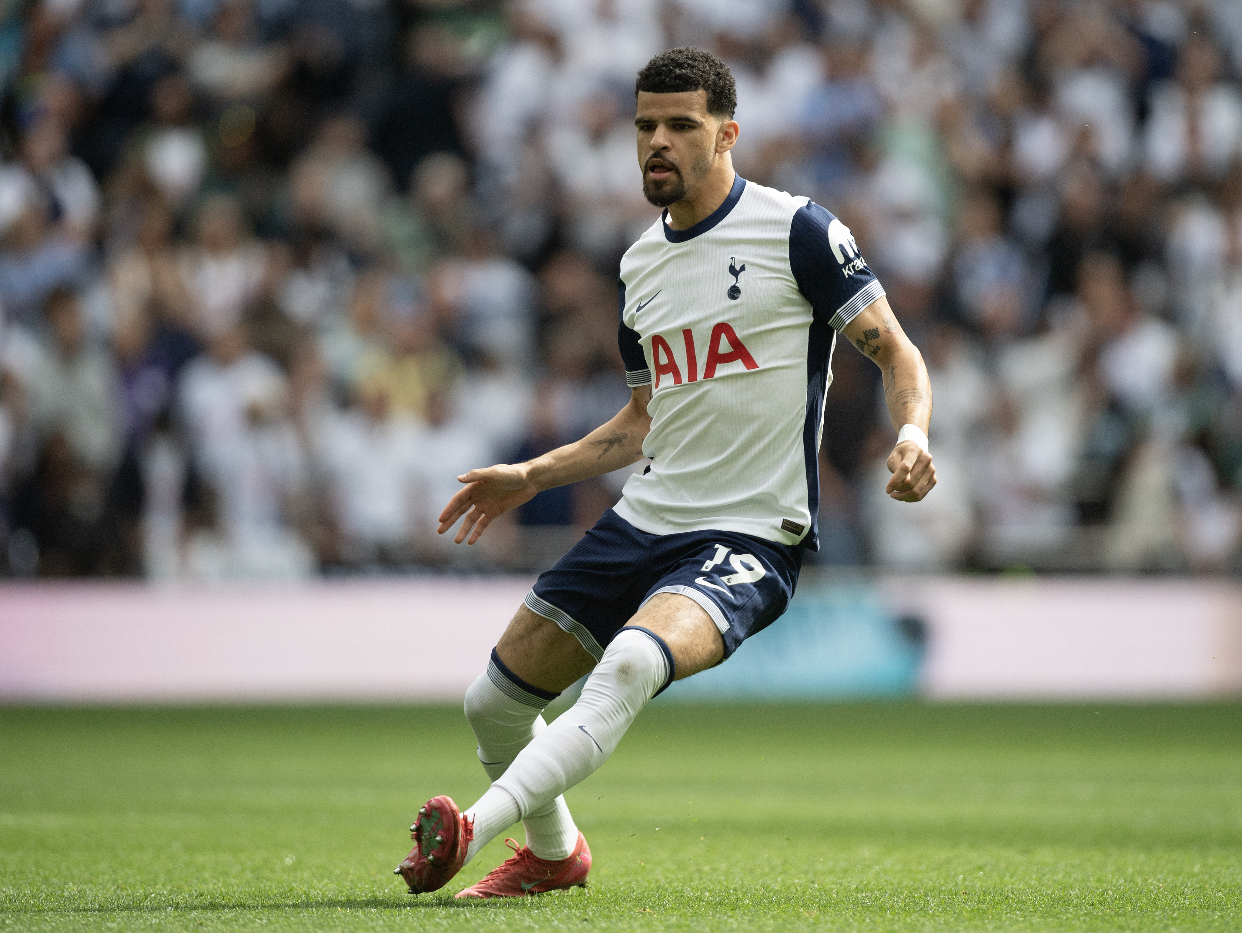 Tottenham striker Dominic Solanke could be soon looking over his shoulder in north London