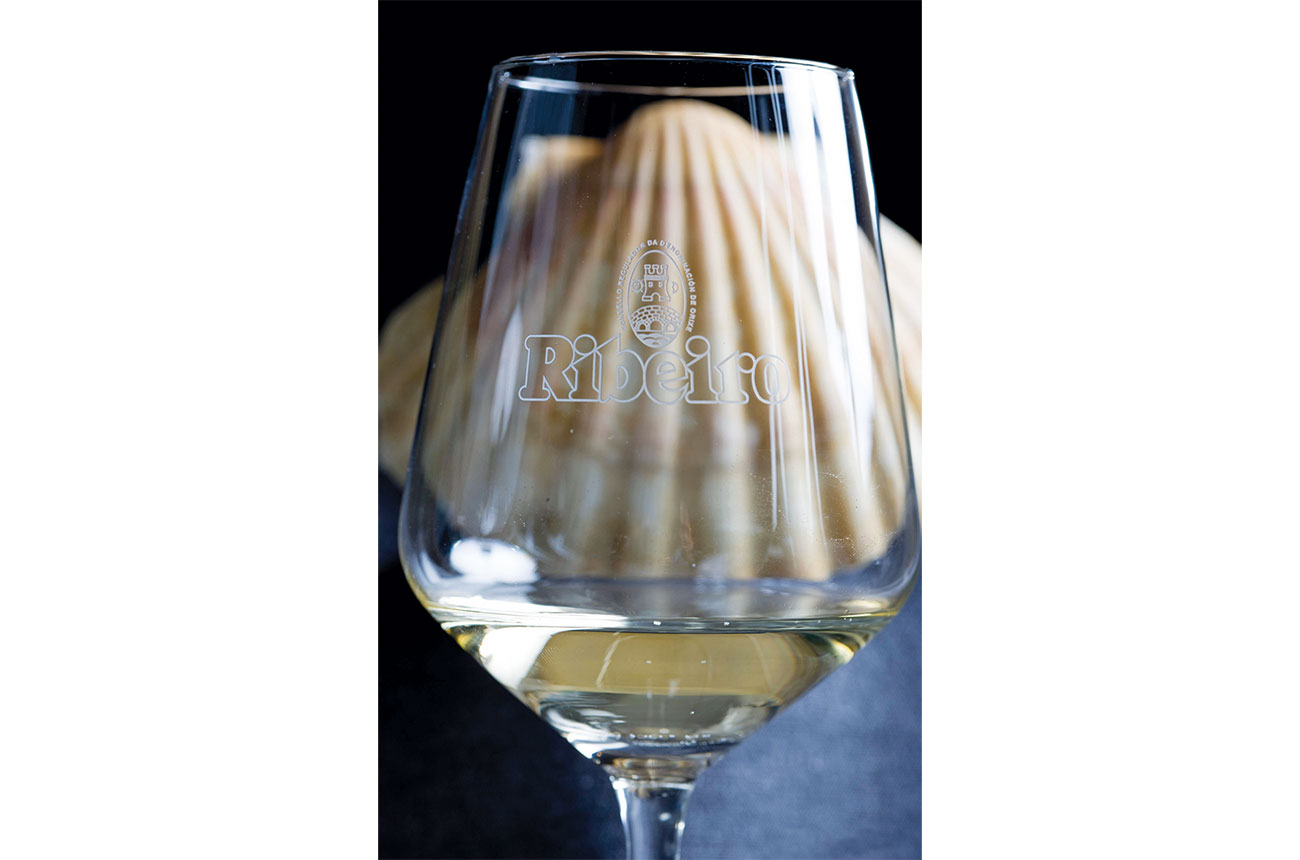 Ribeiro_web.jpg