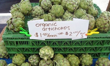 Organic artichokes