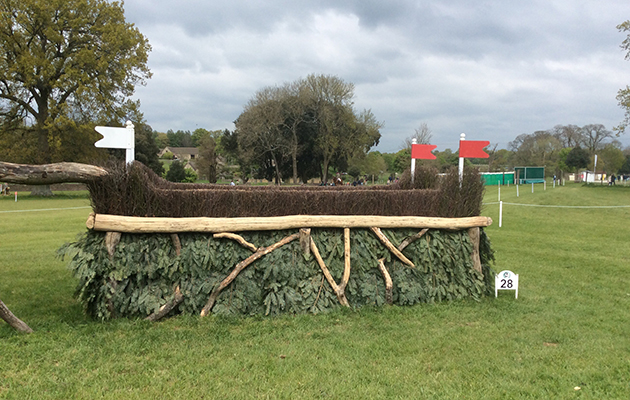 Badminton Fences 2017