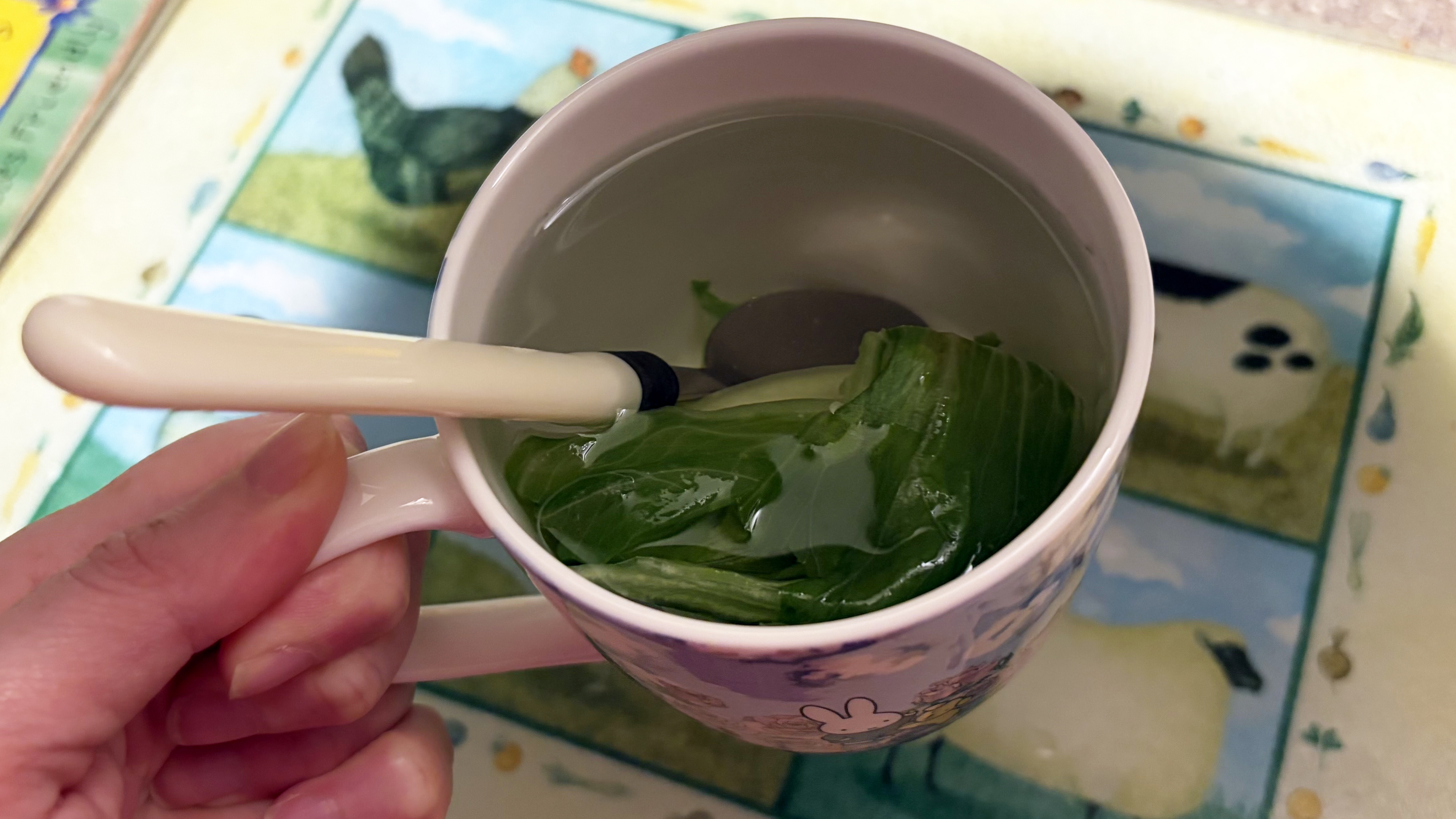 A close up of a mug with lettuce, water and a spoon in it
