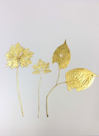 Three pieces of foliage covered in gold leaf and pressed onto white paper