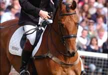 wfoxpitt3.jpg