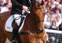 wfoxpitt3.jpg