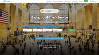 Website screenshot for Instant Checkmate