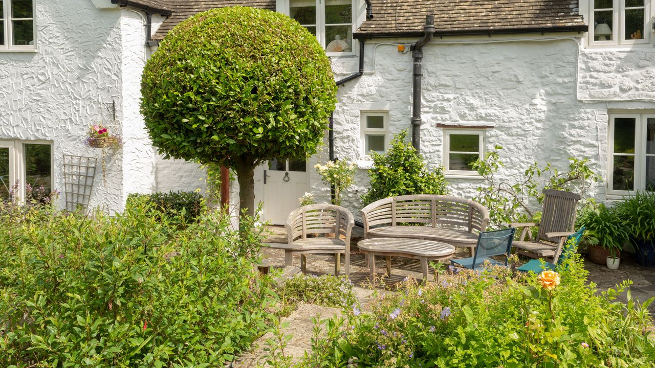 best self-watering gadgets and accessories country garden with bench and tree