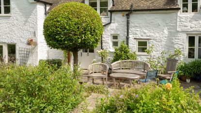 best self-watering gadgets and accessories garden path with flower beds filled with wild flowers and red poppies