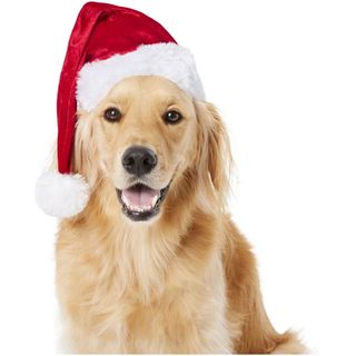 Frisco Holiday Dog & Cat Santa Hat