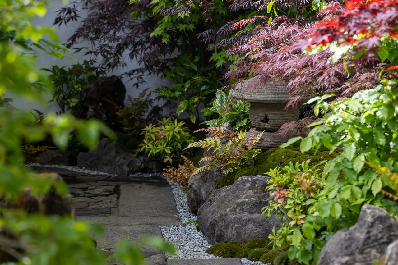 Details of the Tokonoma Garden &ndash; Sanumaya no Niwa, a nostalgic garden scene in a japanese style. IE lots of moss and bonsai and stones