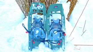 MSR Evo Trail snowshoes resting against tree