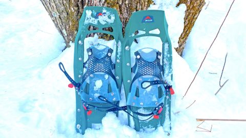 MSR Evo Trail snowshoes resting against tree trunk in snow