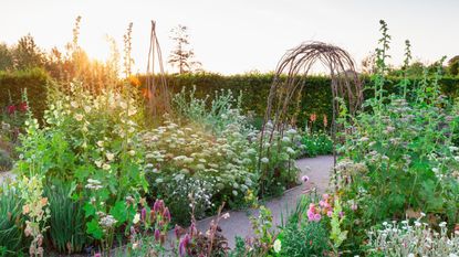 The Cottage Garden at Hyde Hall