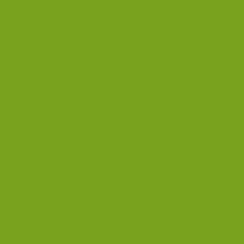 Benjamin Moore, Iguana Green