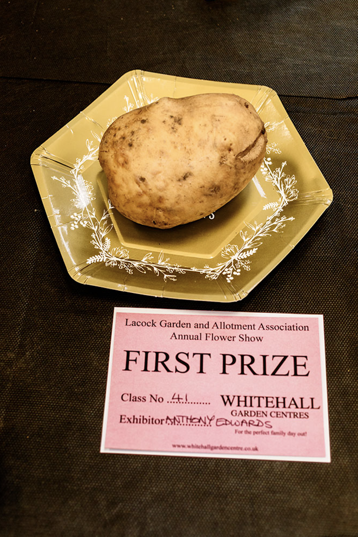 first prize winning potato