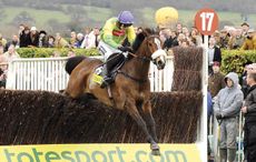 Kauto Star injuries