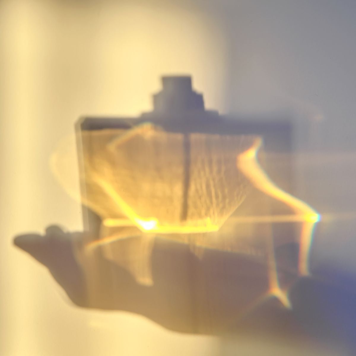 The shadow of a person holding a bottle of perfume - k-fragrance