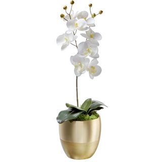 white coloured artificial orchid in gold vase