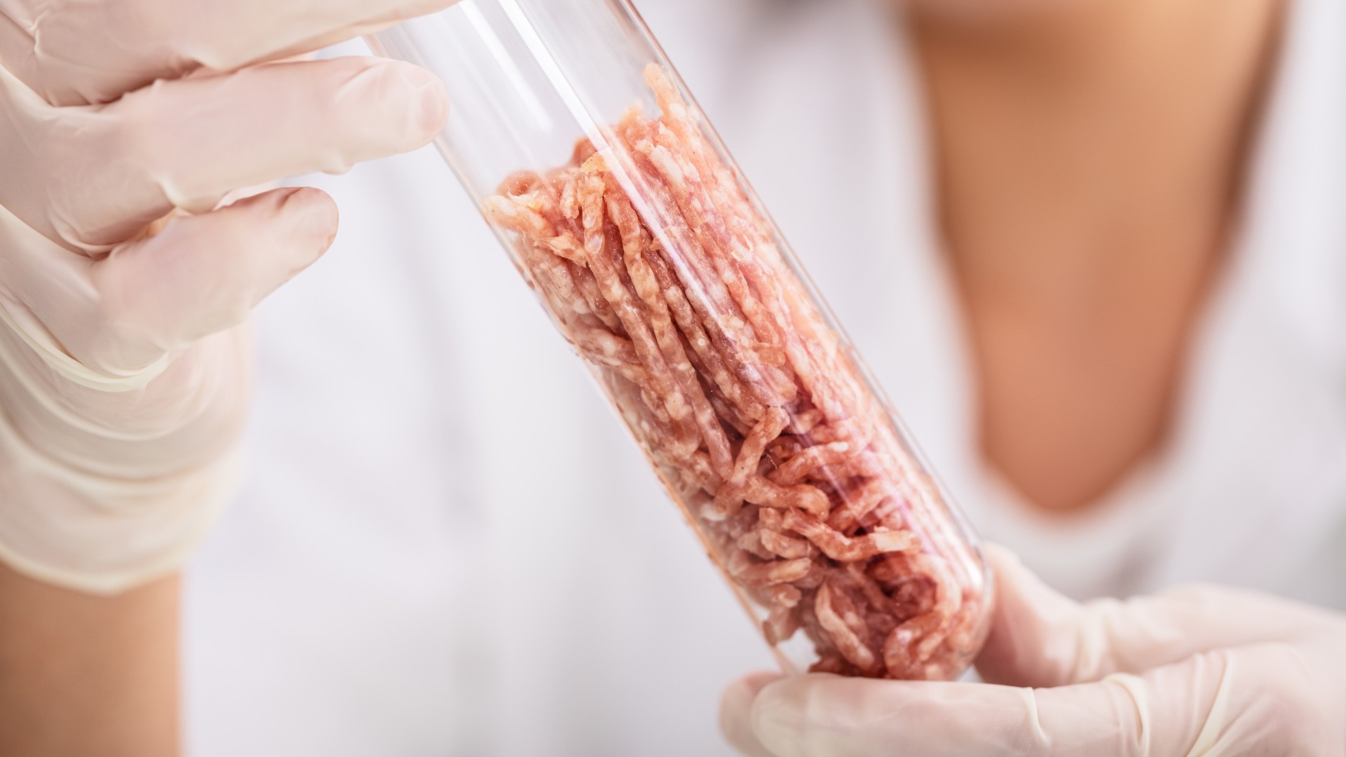 Scientist examining lab grown meat in test tube