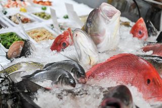 Oceana fraud study mislabeled foods