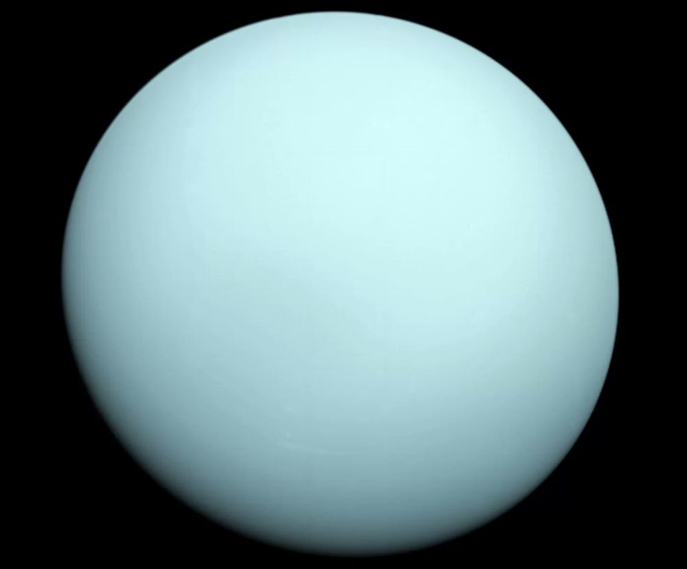 A photo of Uranus from NASA&#039;s Voyager 2 spacecraft, which flew by the planet in 1986.