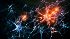 An illustration of blue neurons against a black background; some are glowing orange with points of light, representing electrical singals