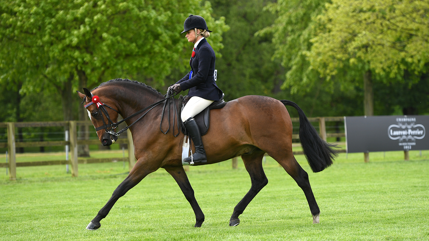 RWHS 08 05 19