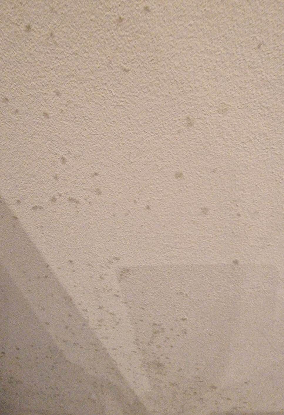 Mould growing on a white wall in Beth's home
