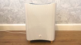 Mila Air Purifier being tested in writer's home