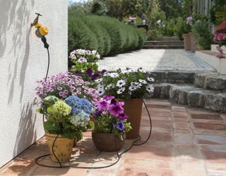 accessible garden design: plant watering kit