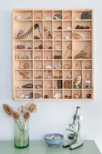 Woodeedoo Wooden Trinket Display Shelf 