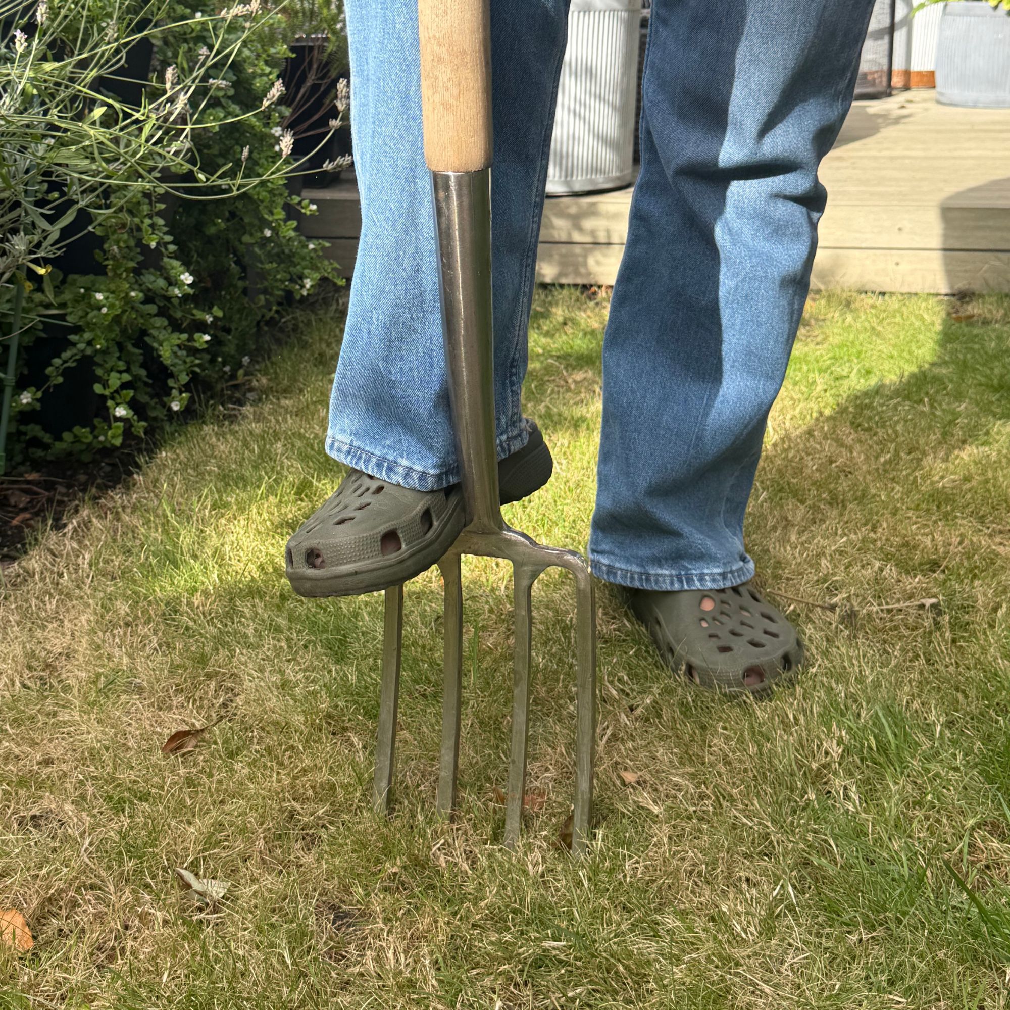 aerate grass with fork