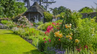 Rows of flower beds in long garden