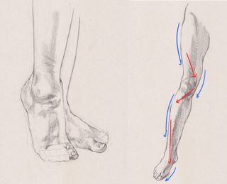 how to draw feet diagrams